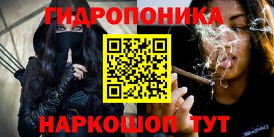 гашик Славянск-на-Кубани